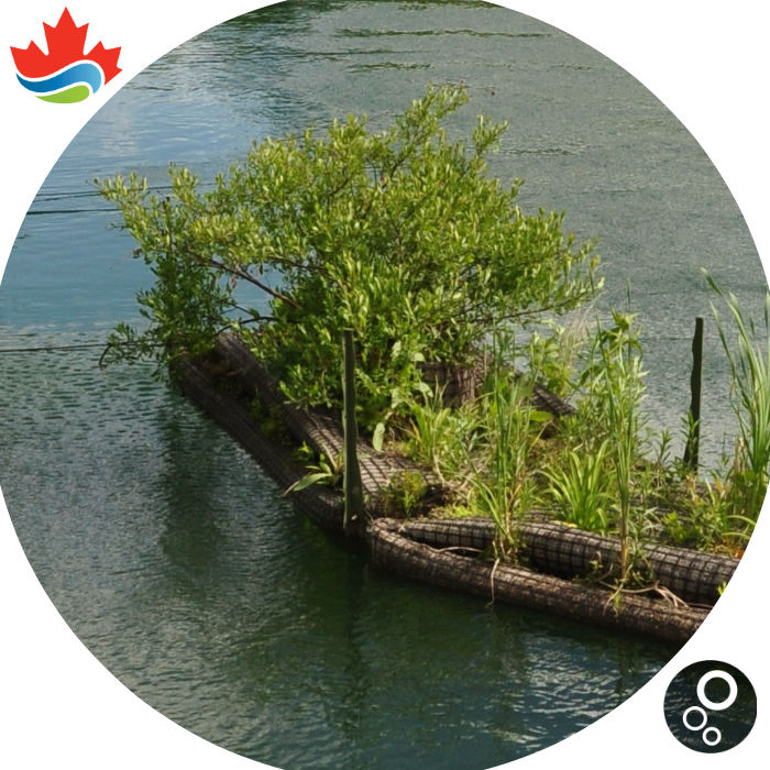 Floating Water Quality Islands in Hicklin Lake, White Center - Canadian Pond