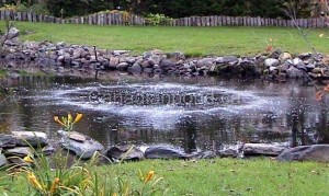 aeration system in a pond