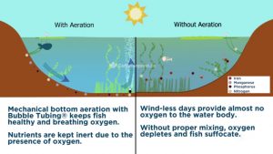 Differences between a water body with and without aeration