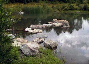 arrangement of stones in a pond