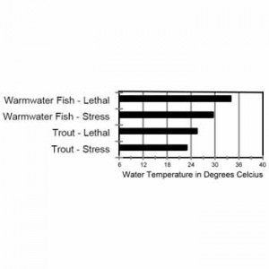 Ideal temperatures for fishes